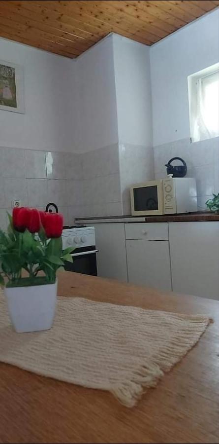 Badacsonyi Pihenes Privat Berlemeny Hotel Бадачонтомай Екстериор снимка